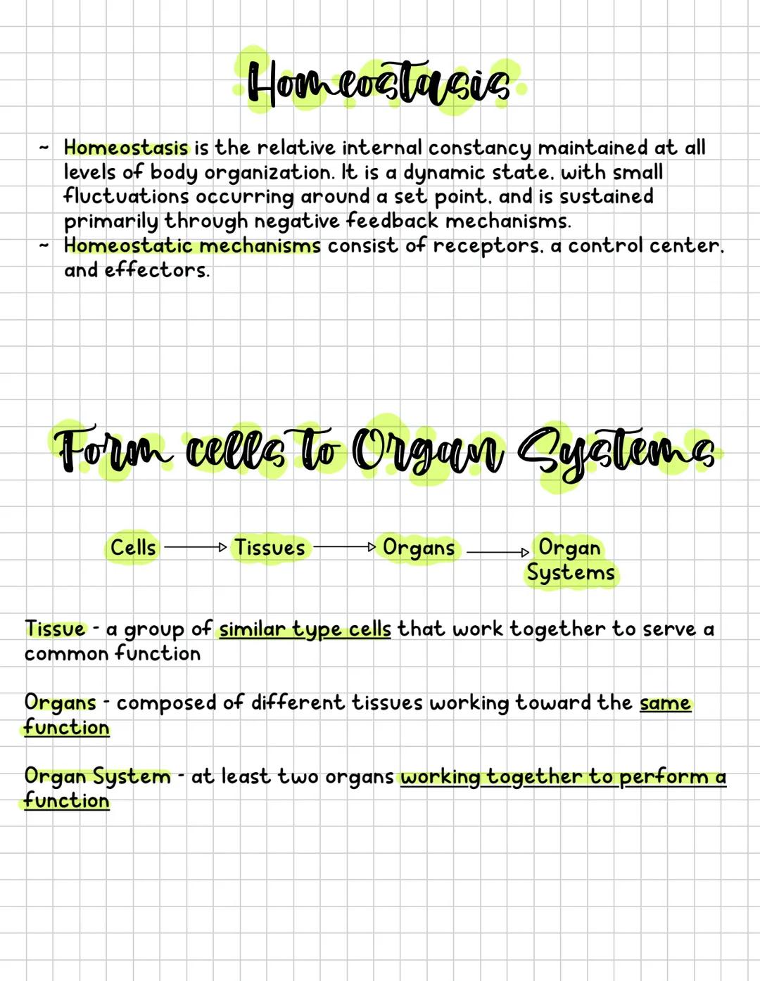 --- OCR Start ---
Skin layers and functions
Epidermis
(Thin outer layer)
- Epithelial tissue
- Has layer of rapidly dividing cells
(mitosis)