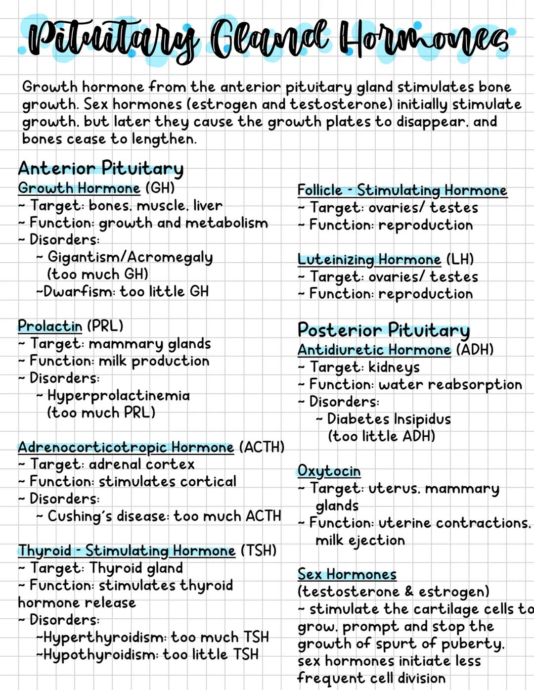 --- OCR Start ---
Skin layers and functions
Epidermis
(Thin outer layer)
- Epithelial tissue
- Has layer of rapidly dividing cells
(mitosis)