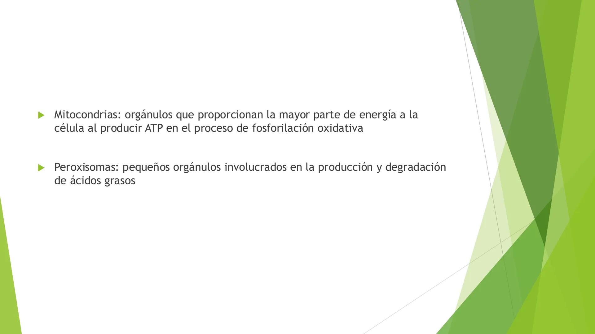 # Morfología celular
# División celular # CÉLULA
Las células son las unidades estructurales y funcionales básicas de todos los
organismos mu