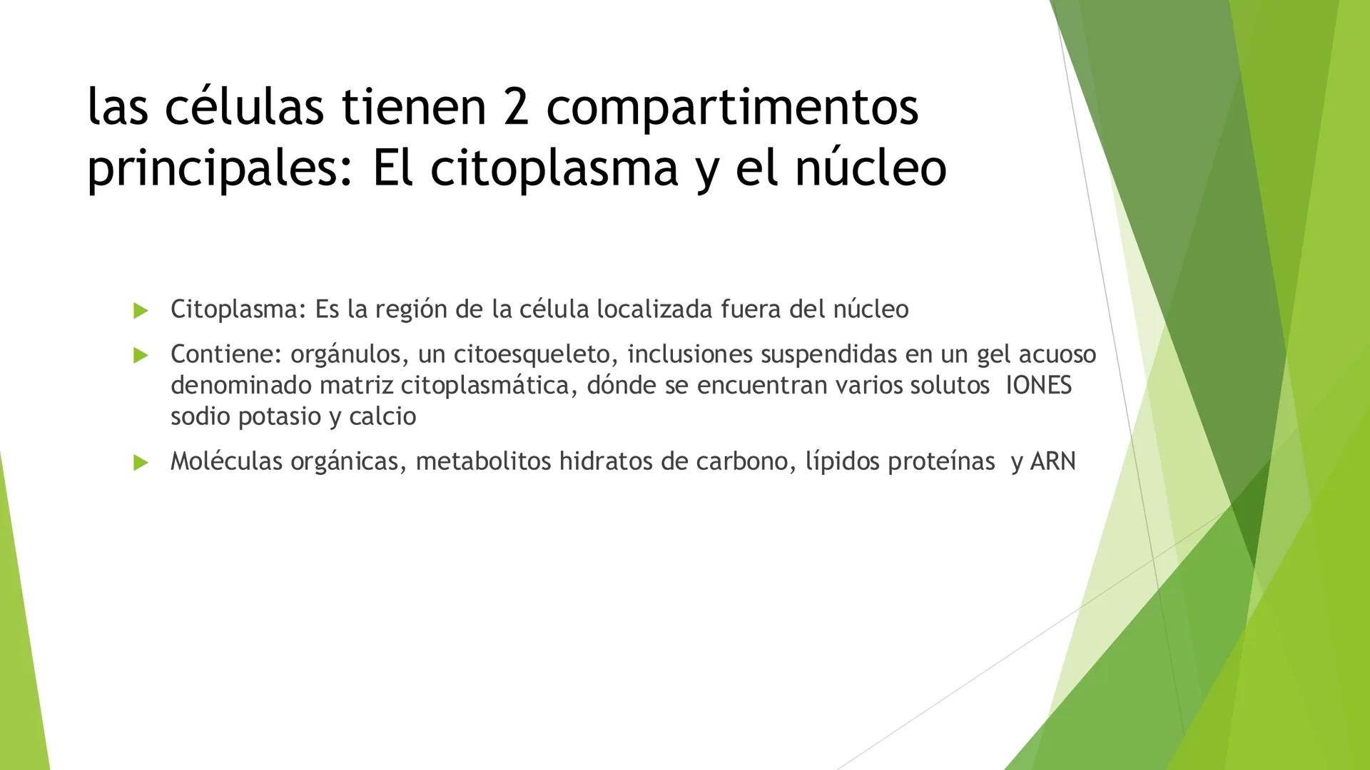 # Morfología celular
# División celular # CÉLULA
Las células son las unidades estructurales y funcionales básicas de todos los
organismos mu