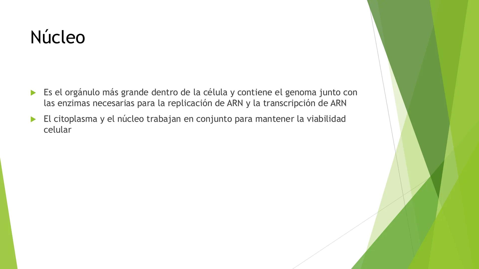 # Morfología celular
# División celular # CÉLULA
Las células son las unidades estructurales y funcionales básicas de todos los
organismos mu