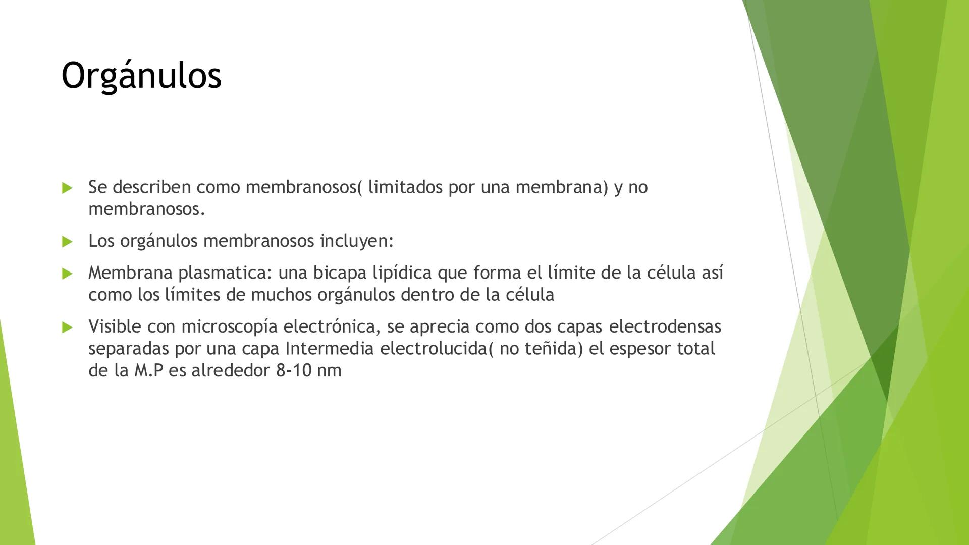 # Morfología celular
# División celular # CÉLULA
Las células son las unidades estructurales y funcionales básicas de todos los
organismos mu