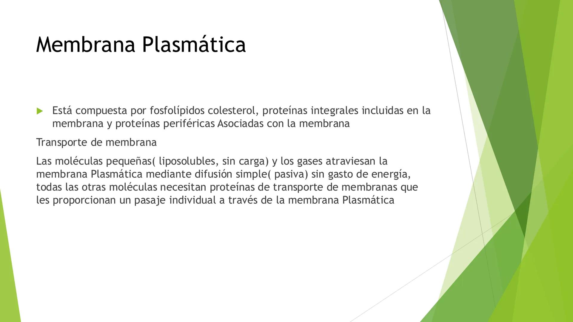 # Morfología celular
# División celular # CÉLULA
Las células son las unidades estructurales y funcionales básicas de todos los
organismos mu