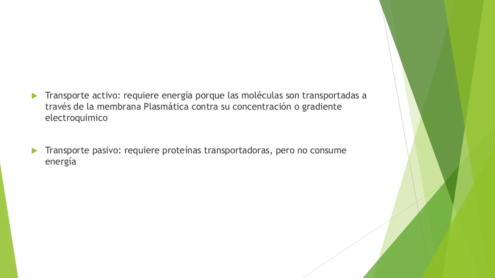 # Morfología celular
# División celular # CÉLULA
Las células son las unidades estructurales y funcionales básicas de todos los
organismos mu