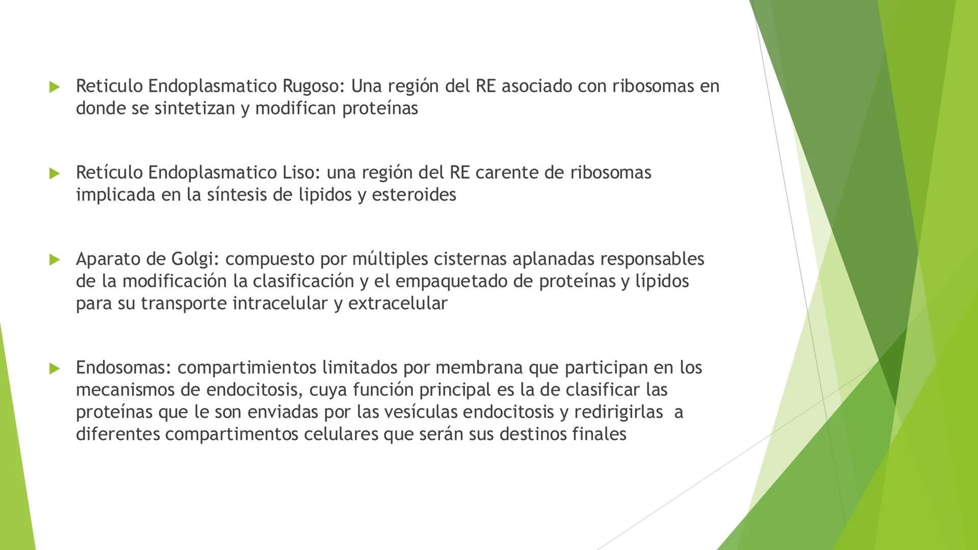 # Morfología celular
# División celular # CÉLULA
Las células son las unidades estructurales y funcionales básicas de todos los
organismos mu
