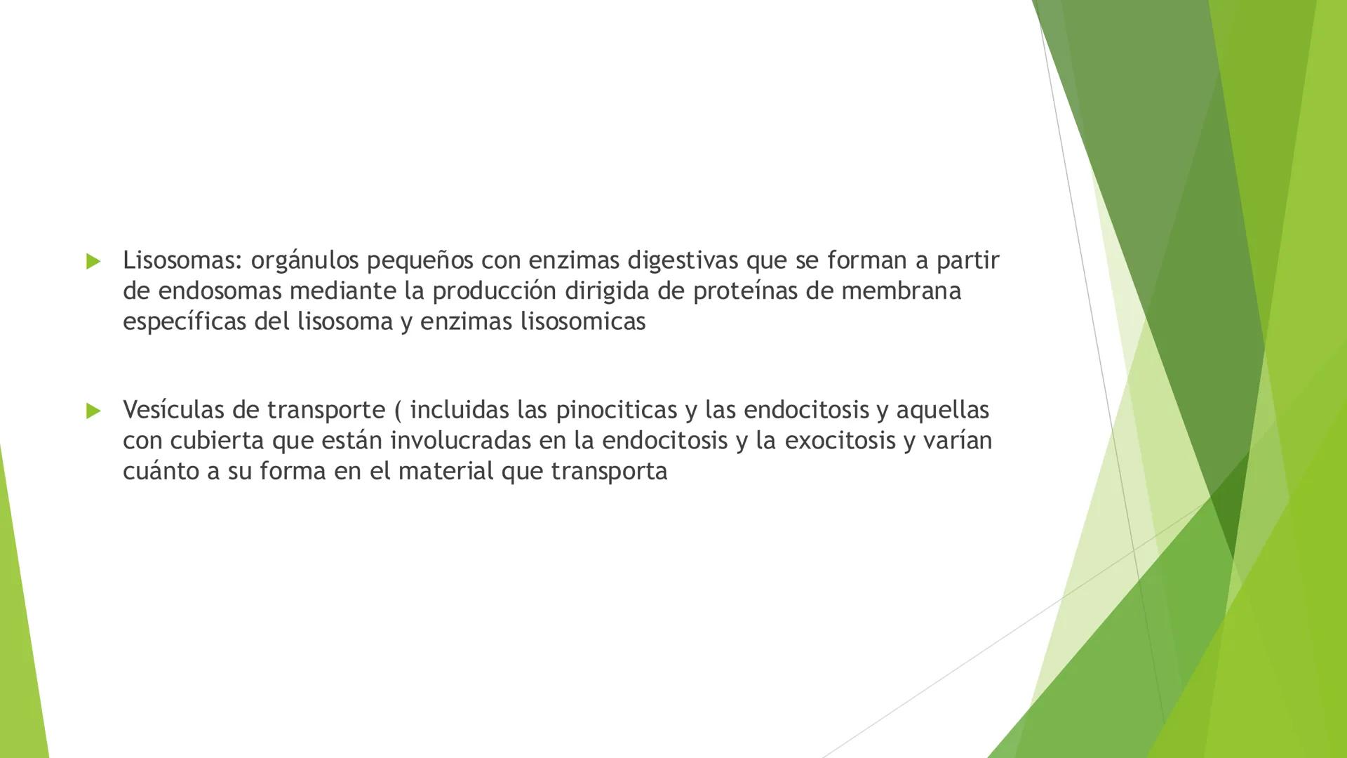 # Morfología celular
# División celular # CÉLULA
Las células son las unidades estructurales y funcionales básicas de todos los
organismos mu