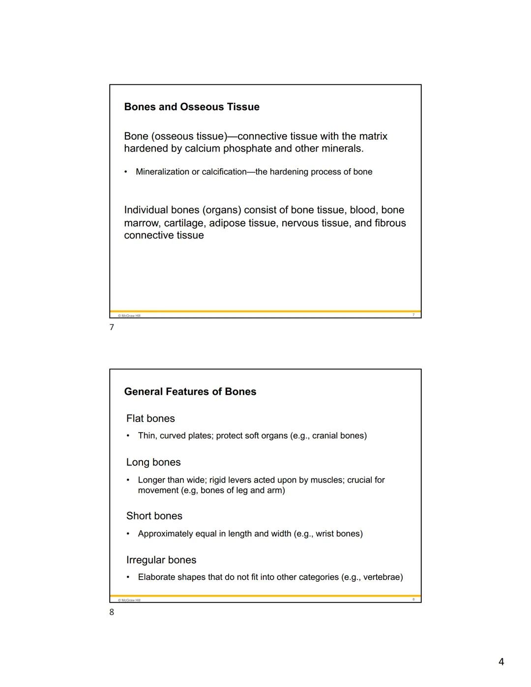 1
2
Mc
Graw
Hill
Because learning changes everything."
Chapter 7
Bone Tissue
ANATOMY & PHYSIOLOGY
The Unity of Form and Function
NINTH ED