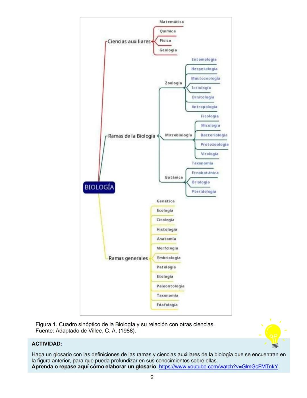 --- OCR Start ---
Escuela Nacional Central de Agricultura
ENCA
GUATEMALA
Fundada en 1921
TEXTO DE
APOYO
CIENCIAS
NATURALES
6665-1345 ext. 21