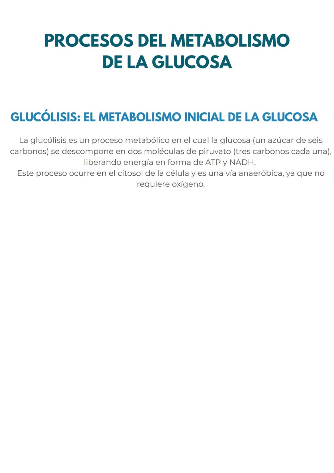 # CONCEPTOS PREVIOS
# MITOCONDRIAS
En primer lugar para dominar perfectamente este
tema, repasemos rapidamente las mitocondrias
Las mitocond