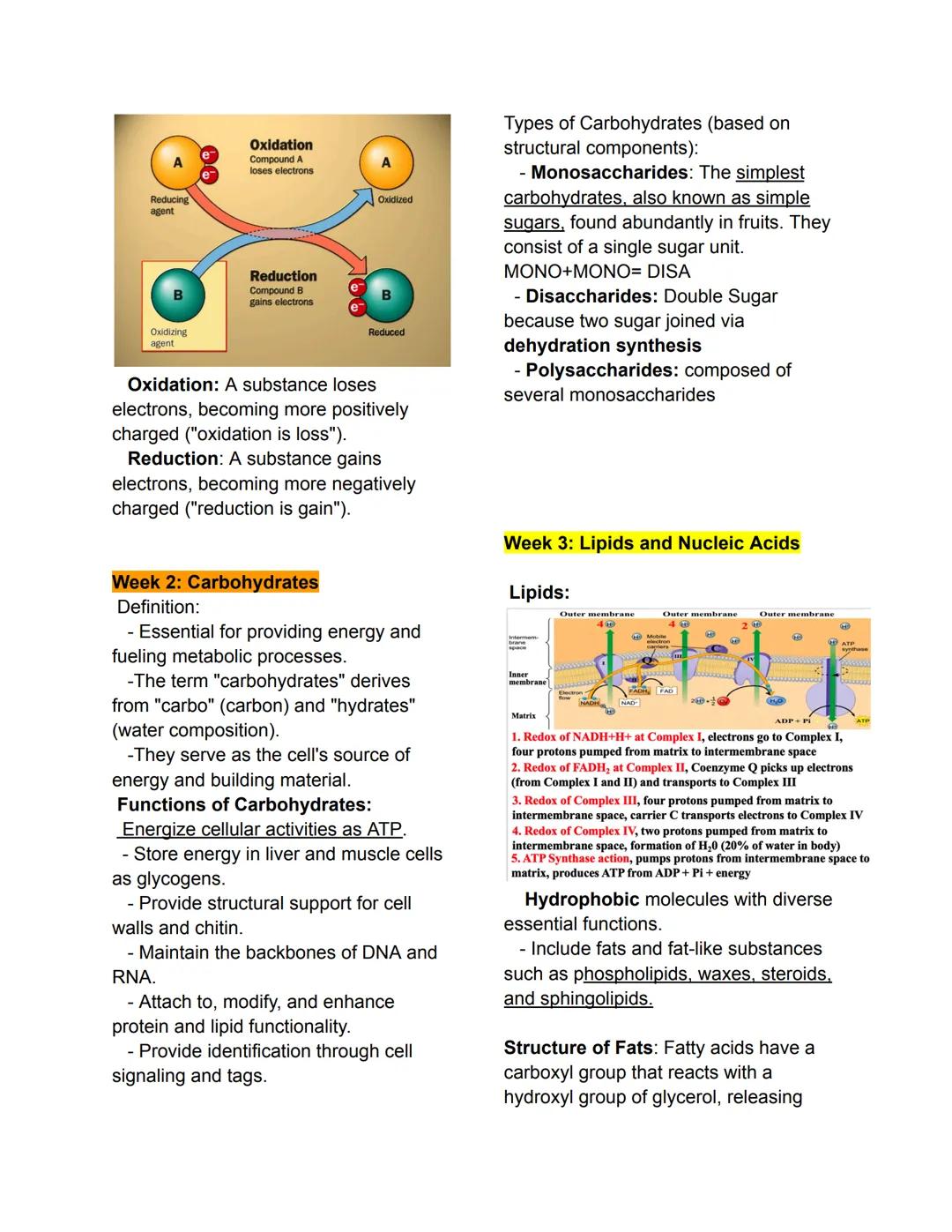 # Week 1: Proteins
-What are Biomolecules?
* Proteins are biomolecules that provide structure and perform functions in an ecosystem.
* The