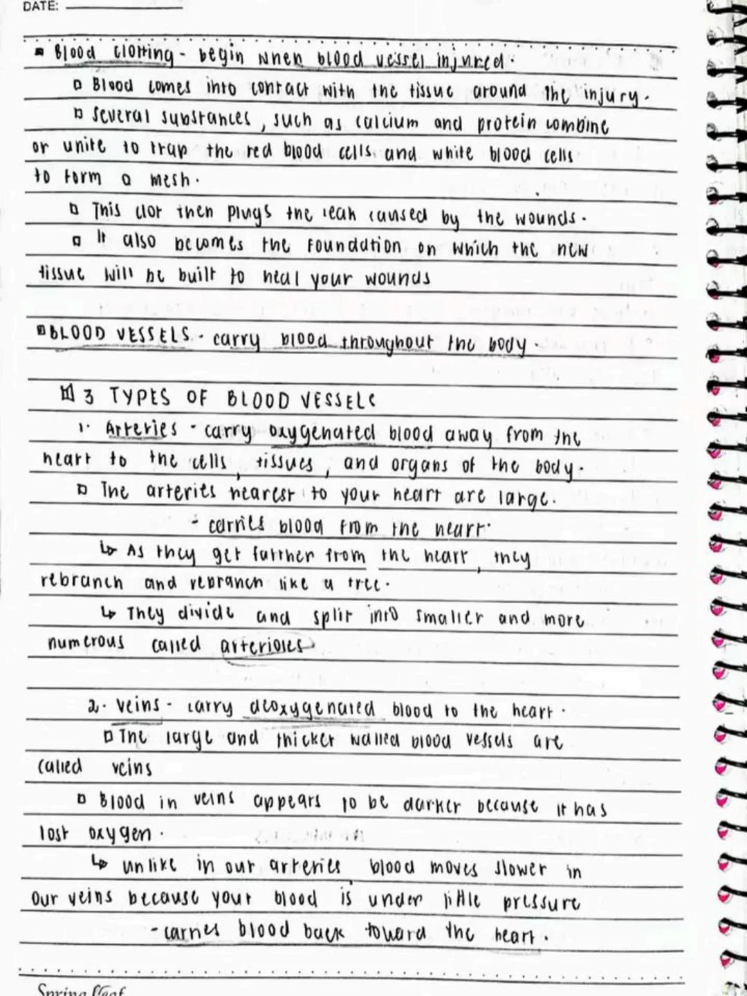 --- OCR Start ---
Respiratory AND circulatory
Systems
NO.:
DATE: 08/05/24
• Respiratory system- macie up of the organs in the bogy that
help