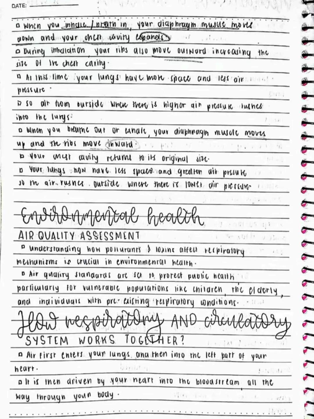 --- OCR Start ---
Respiratory AND circulatory
Systems
NO.:
DATE: 08/05/24
• Respiratory system- macie up of the organs in the bogy that
help