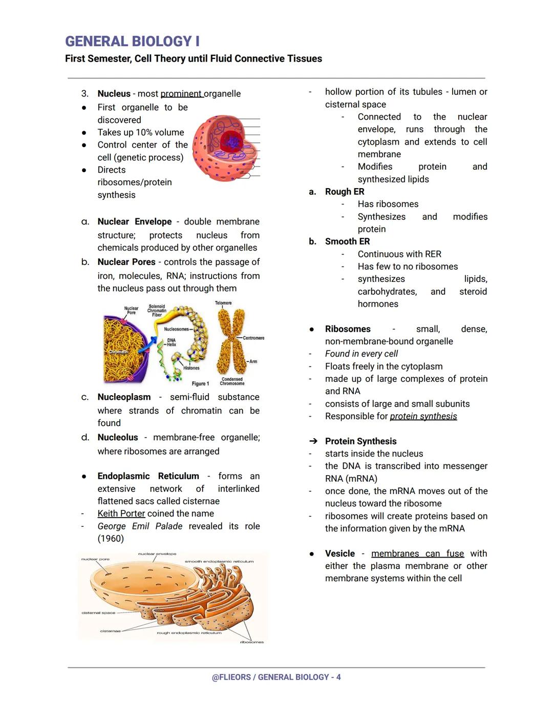 GENERAL BIOLOGY I
First Semester, Cell Theory until Fluid Connective Tissues
First Century (Year 100)
Romans had already invented and experi