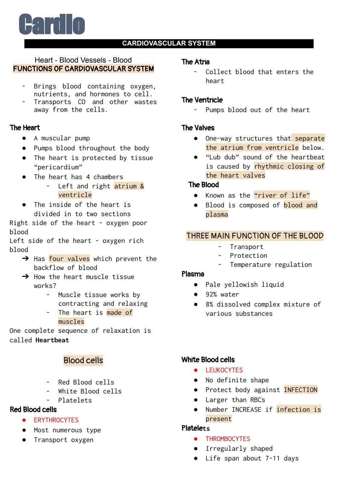 Understanding the Cardiovascular System: Heart Parts and Blood Cells