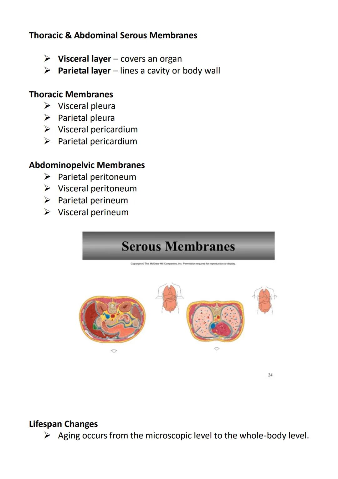 Anatomy and Physiology
➤ Anatomy - the study of the structure of the human body
➤ Physiology - the study of the function of the human body
"