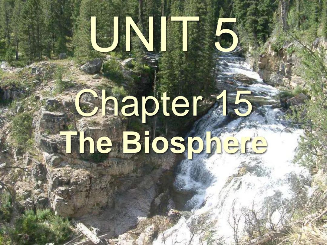 Biosphere — LESSON 3
