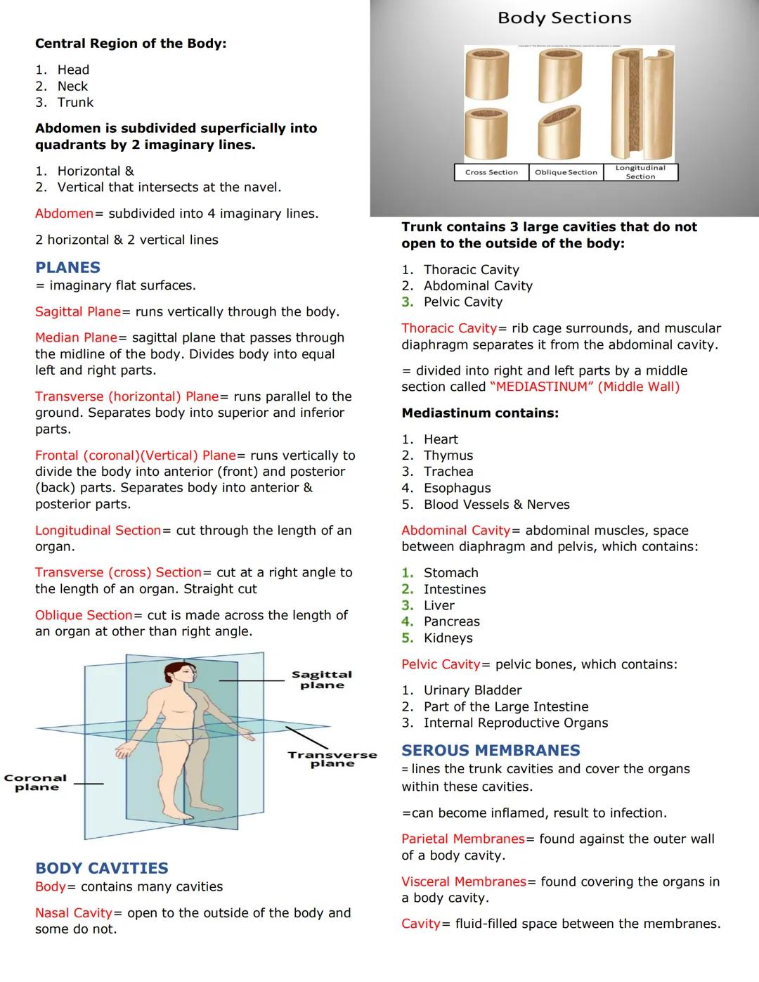 ORGANIZATION OF THE HUMAN BODY
(CHAPTER 1)
(THE HUMAN ORGANISM)
Anatomy = scientific discipline that investigates the
body's structures. "Di