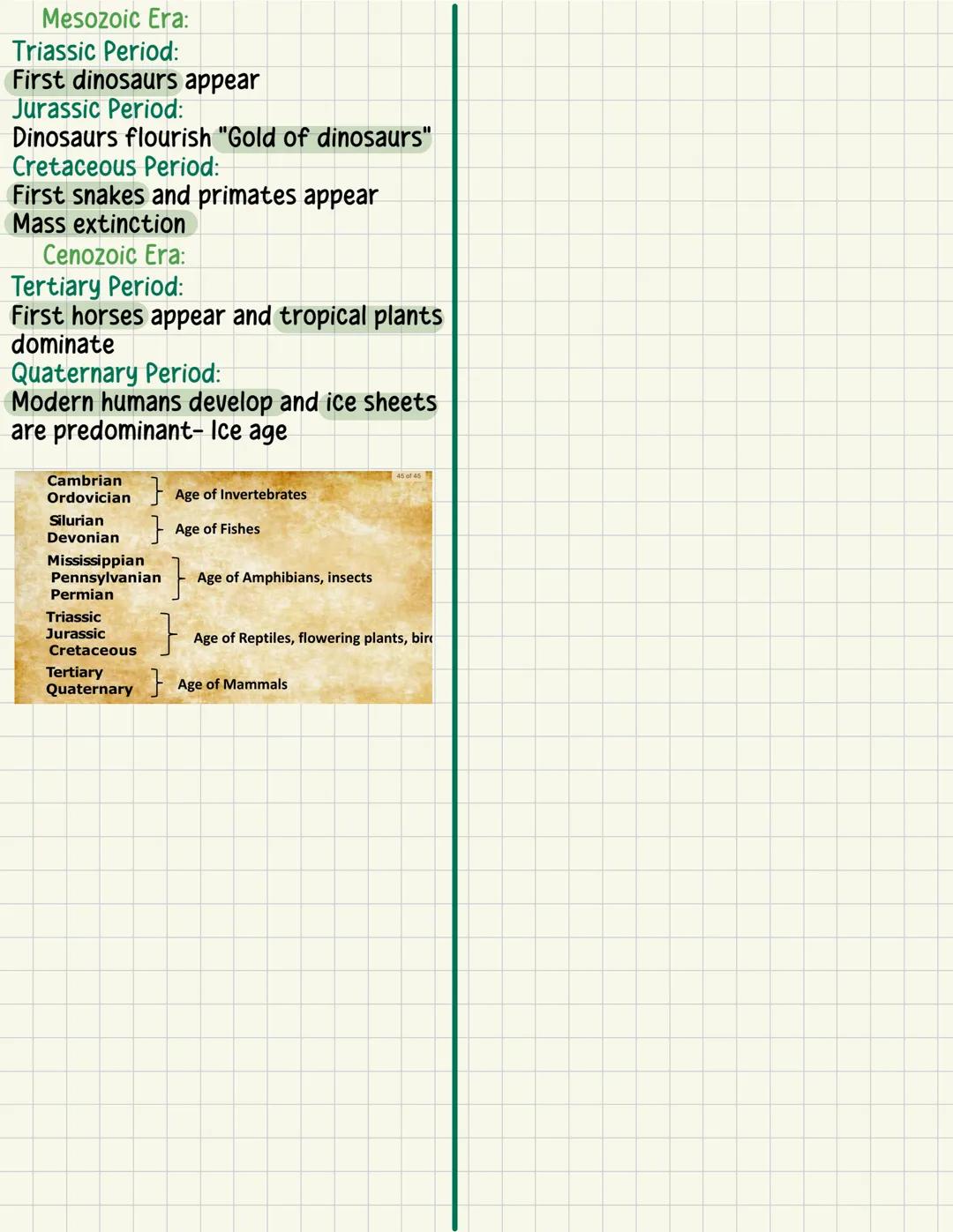 HISTORY OF
THE EARTH
GEOLOGIC TIME SCALE
-This divides Earth's history into units
of varying magnitude and provides a
meaningful time frame