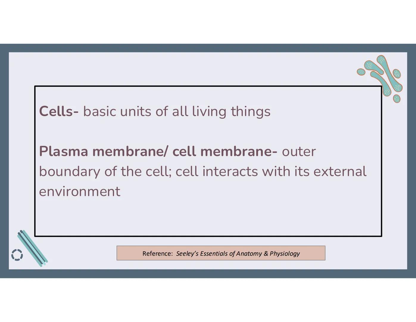 # 01
Functions of the cell Cells- basic units of all living things
Plasma membrane/ cell membrane- outer
boundary of the cell; cell interac