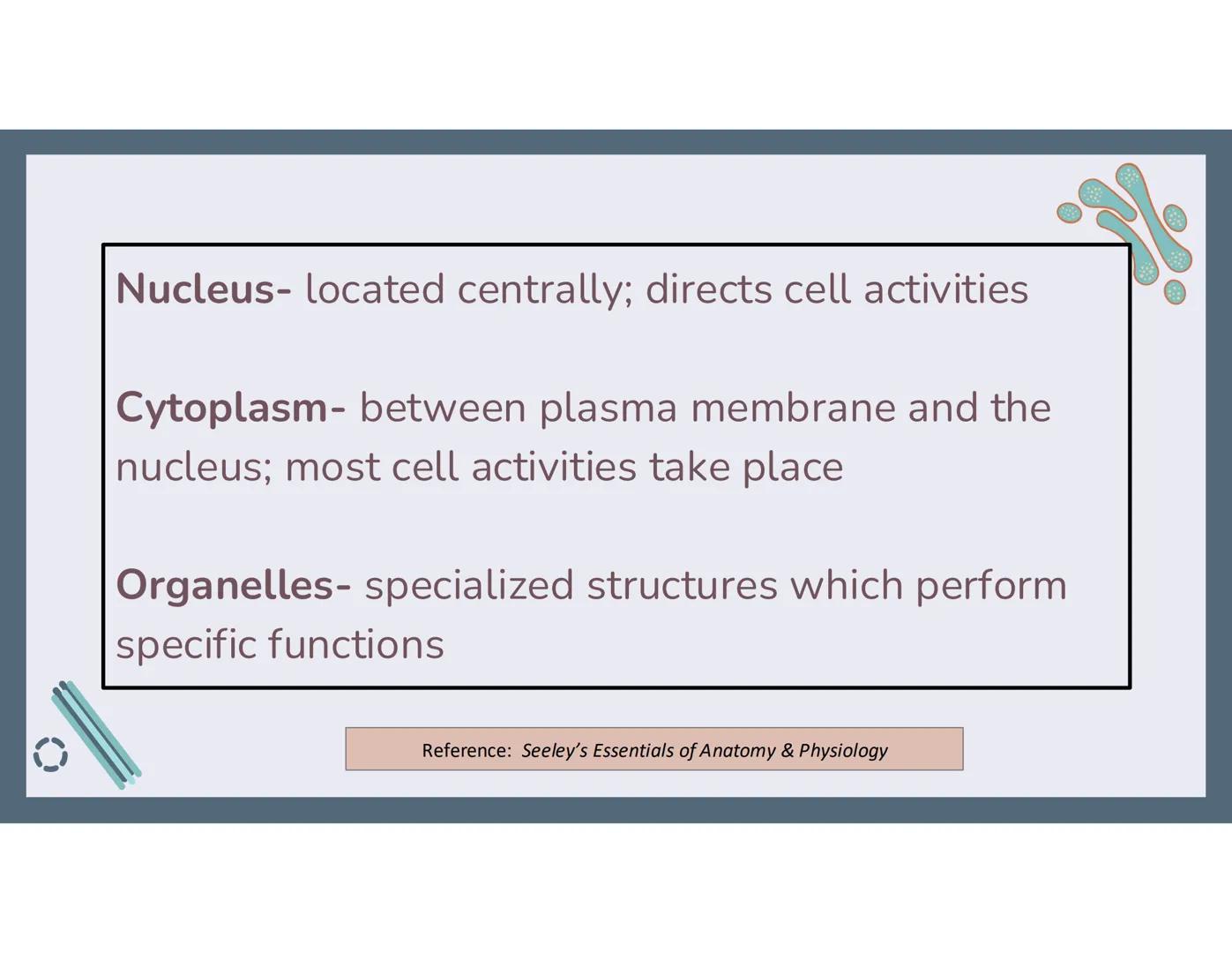 # 01
Functions of the cell Cells- basic units of all living things
Plasma membrane/ cell membrane- outer
boundary of the cell; cell interac