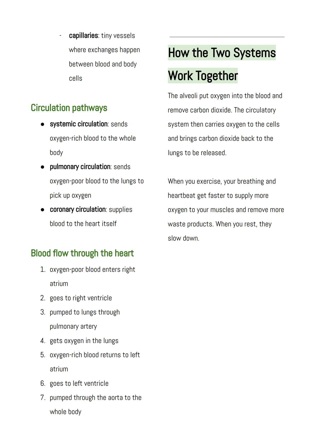 The Respiratory System
The respiratory system helps you take in
oxygen and remove carbon dioxide.
Parts of the respiratory system
• Nose and