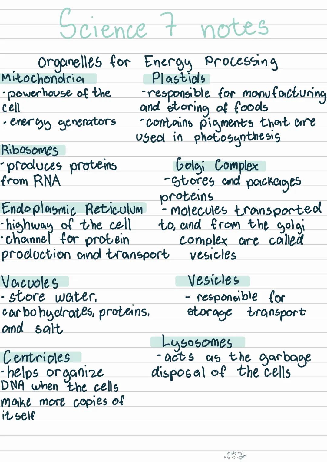 Science 7 notes
cell diversity
Eukaryotic
• cells that have a
nucleus
Prokaryotic
• cells that DO NOT have
a nucleus
Cell parts
Nucleus
• co