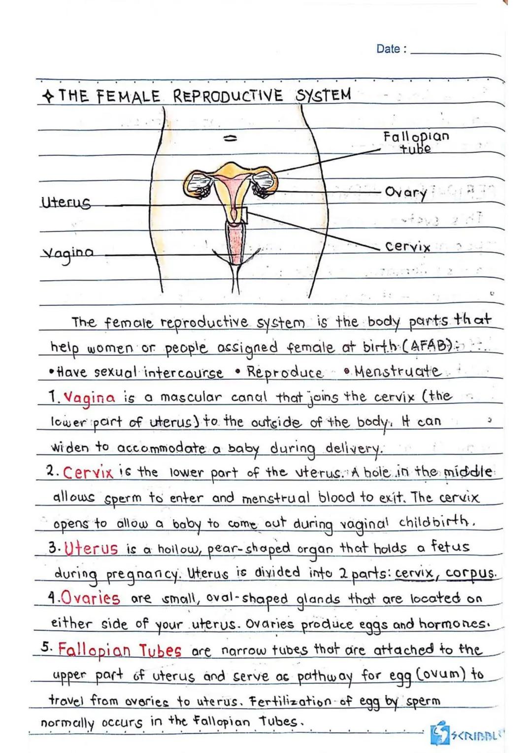 3RD QUARTER
Date:
Body
erve cells, send and recieve
neurons have a lot in
Ils, they're structurally
on many scientific research,
of neurons
