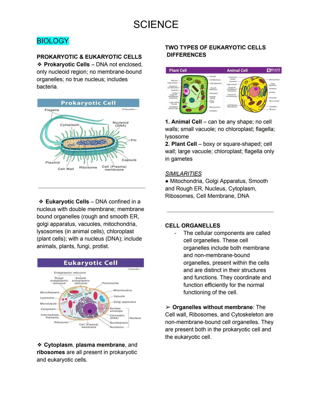 SCIENCE
BIOLOGY
PROKARYOTIC & EUKARYOTIC CELLS
* Prokaryotic Cells - DNA not enclosed,
only nucleoid region; no membrane-bound
organelles; n