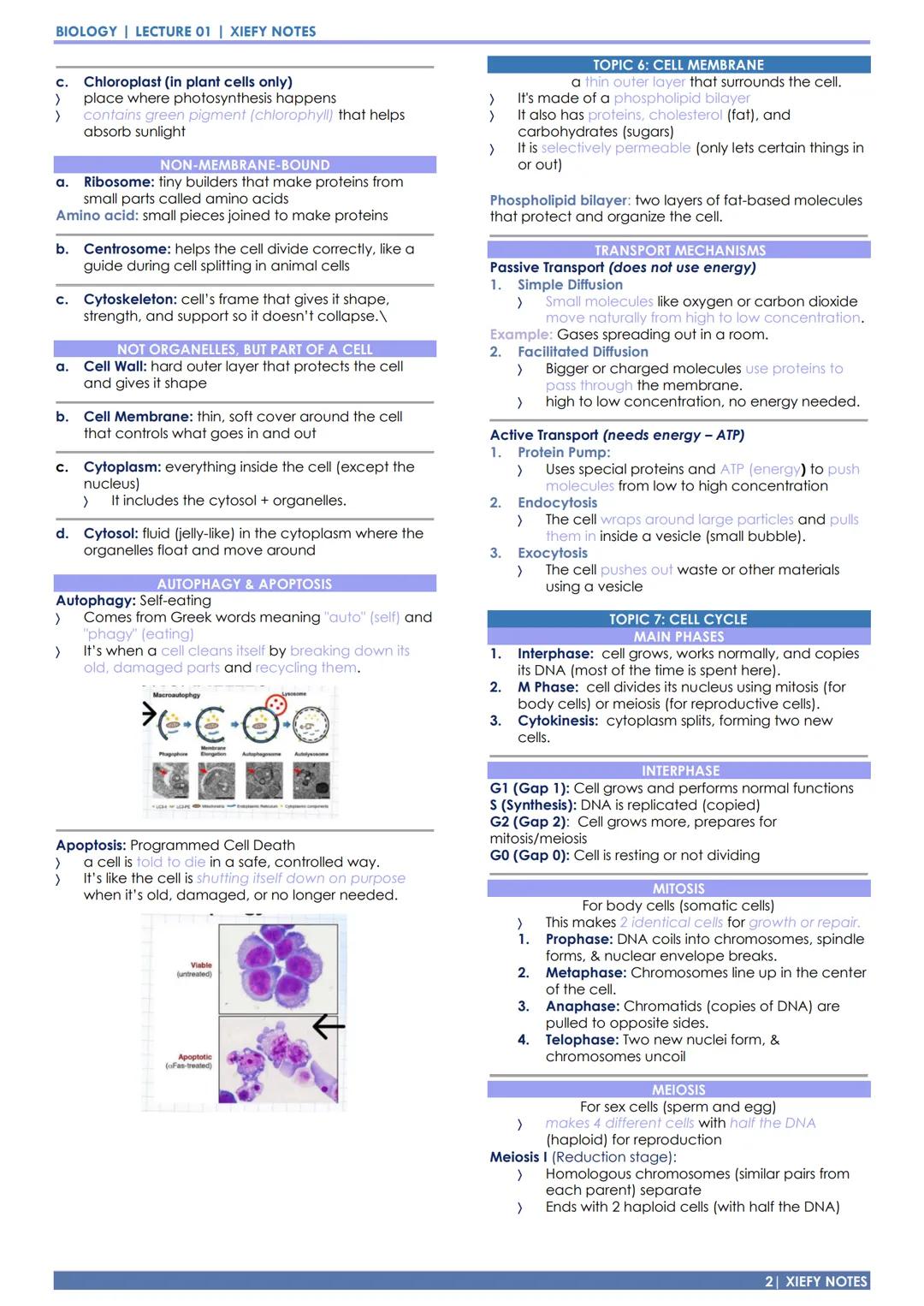 BIOLOGY & EARTH SCIENCE
XIEFY NOTES LECTURE 01 | DOST JLSS 2025
THE CELL & BIOMOLECULES
TOPIC 01: THE CELL THEORY
Postulates:
1. All living