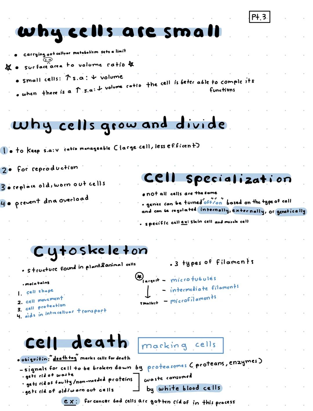 P+.1
Cells and Cell Parts
miller-urey experiment - the origin of life on this planet
demonstrated the abiotic synthesis of organic compounds