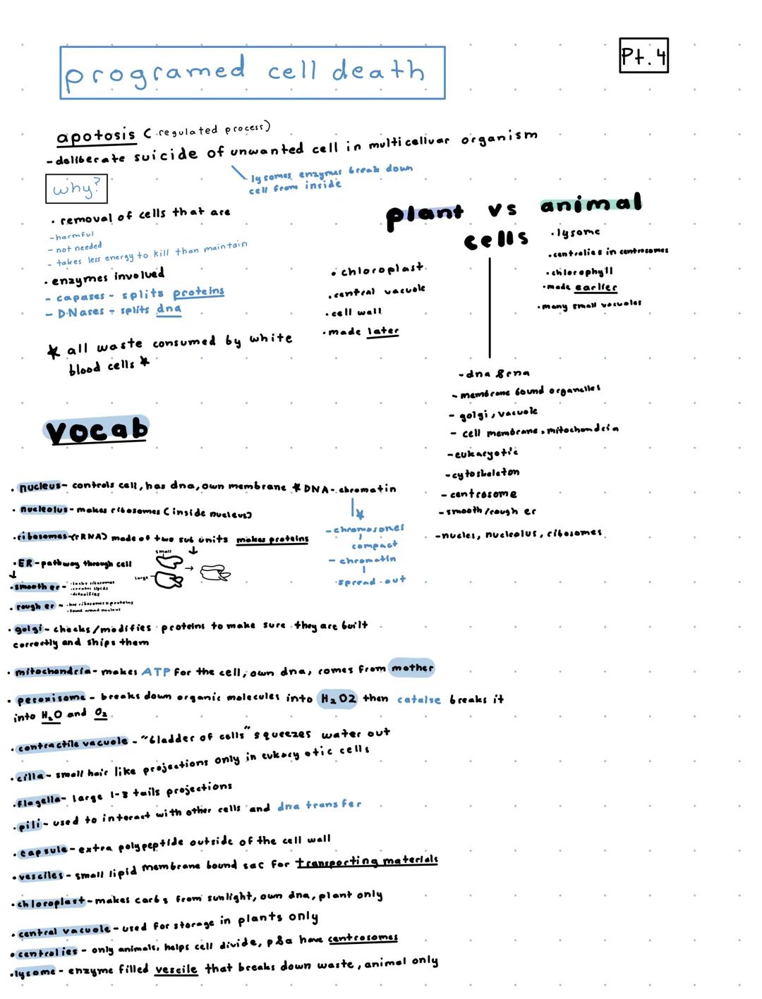 P+.1
Cells and Cell Parts
miller-urey experiment - the origin of life on this planet
demonstrated the abiotic synthesis of organic compounds