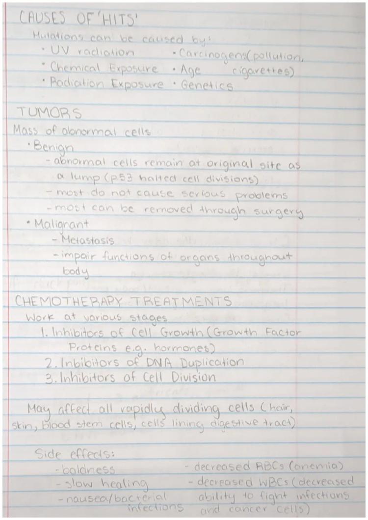 Simply explained: How Cells and Mutations Cause Cancer (Biology
