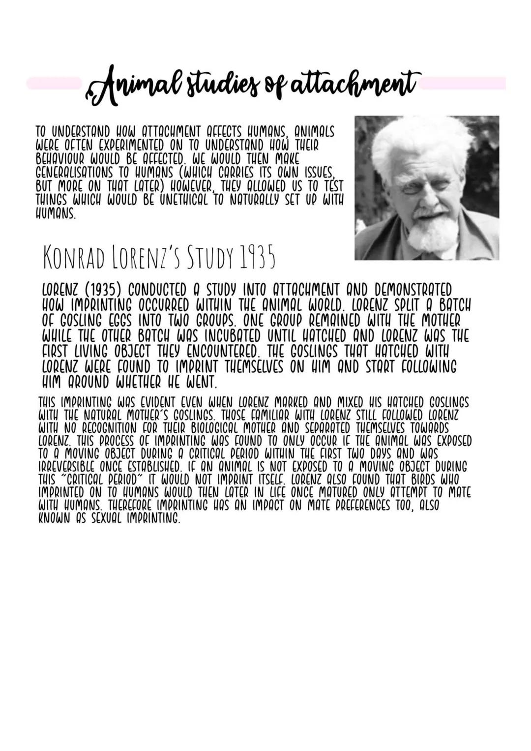 Your Ultimate Guide to AQA Psychology Past Papers and Nature vs Nurture!