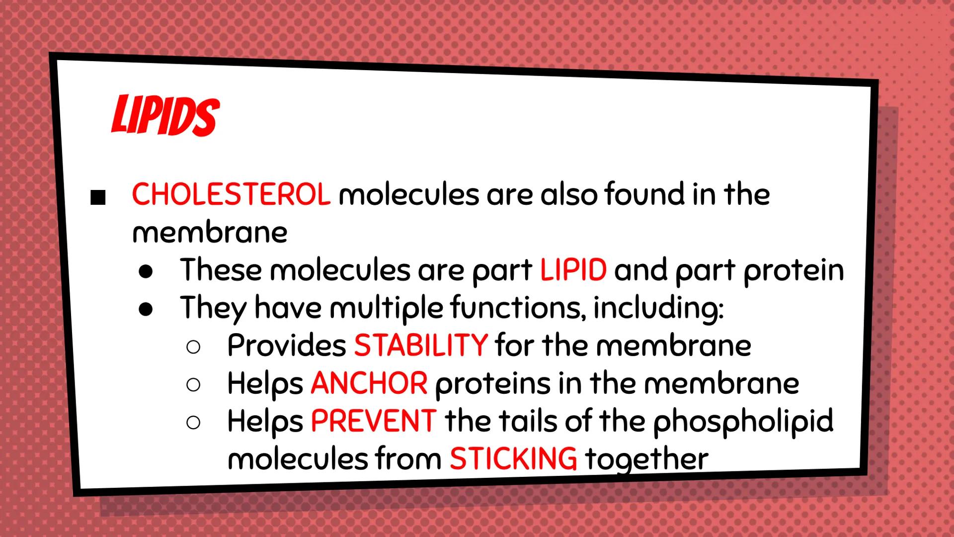 AGENDA WEDNESDAY 9/22 AND THURSDAY 9/23
1. Unit 3: Topics 1 and 2
a. Objective: Explain how cell transport maintains
homeostasis
2. Work tim