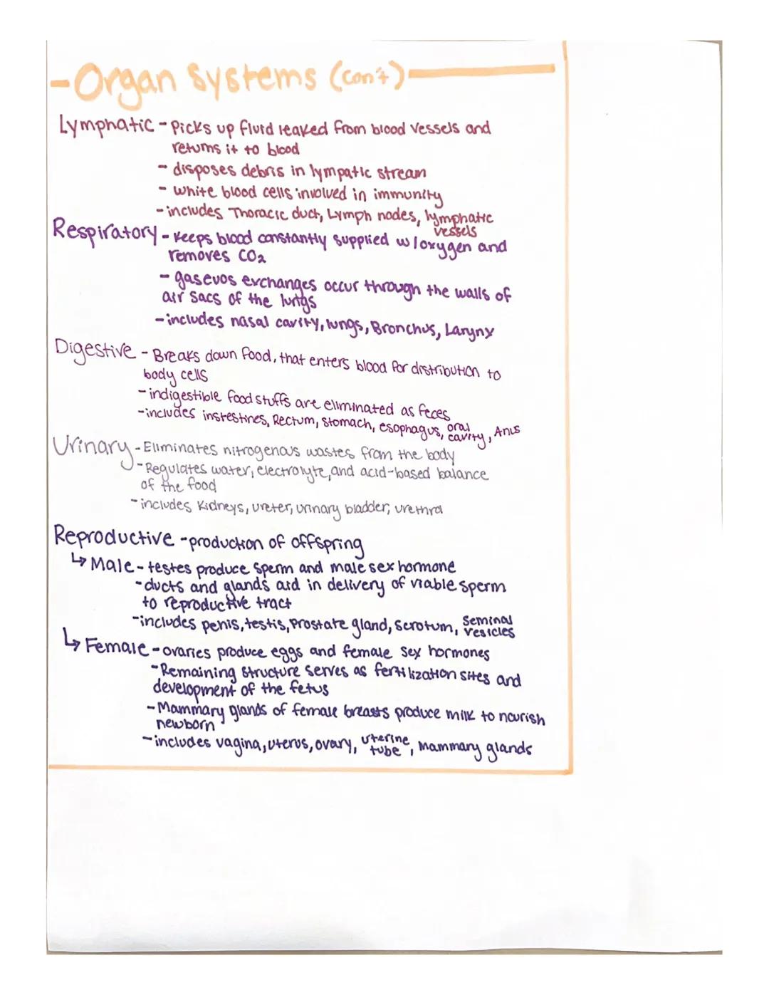 •Directional Terms.
Superior-above; upper part of a structure
Inferior-below; lower part of the structure
Ventral (anterior)-in front of; To