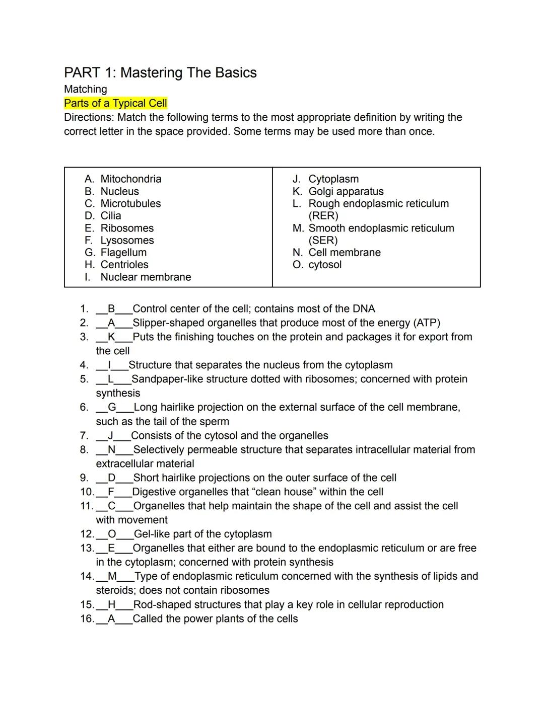 Chapter 3 Cells and Transport Mechanisms