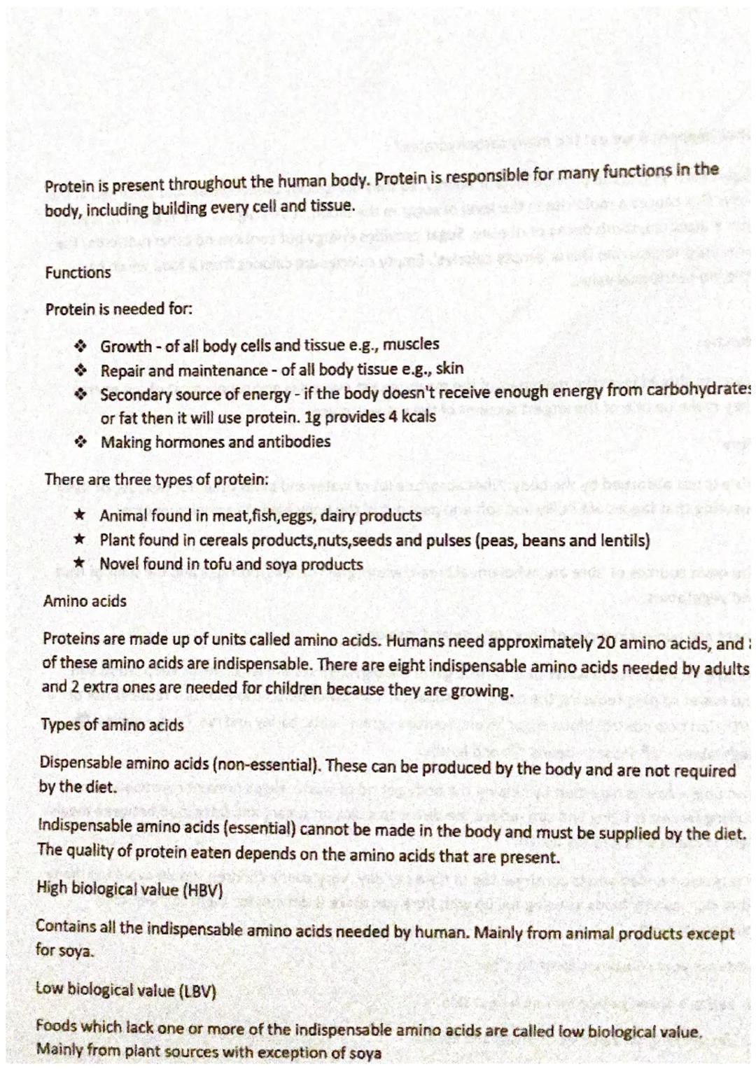 Sources of protein
High biological value:
> Meat and meat products e.g., lamb, beef, chicken, pork
> Fish and sea food e.g., tuna
> Milk, yo