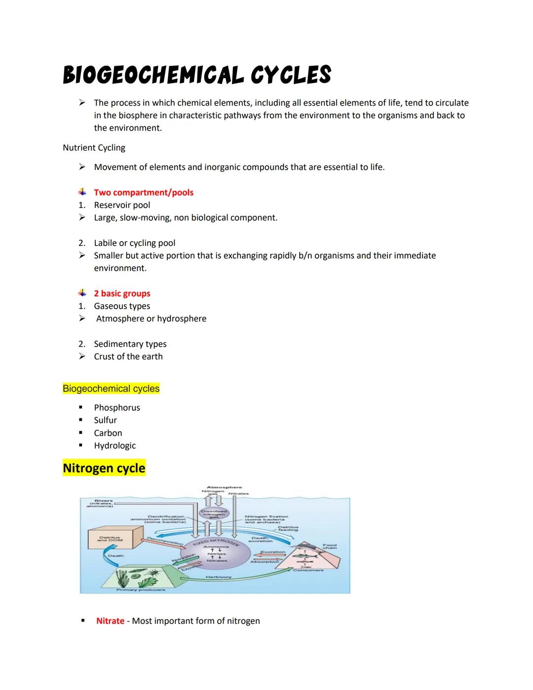BIOGEOCHEMICAL CYCLES