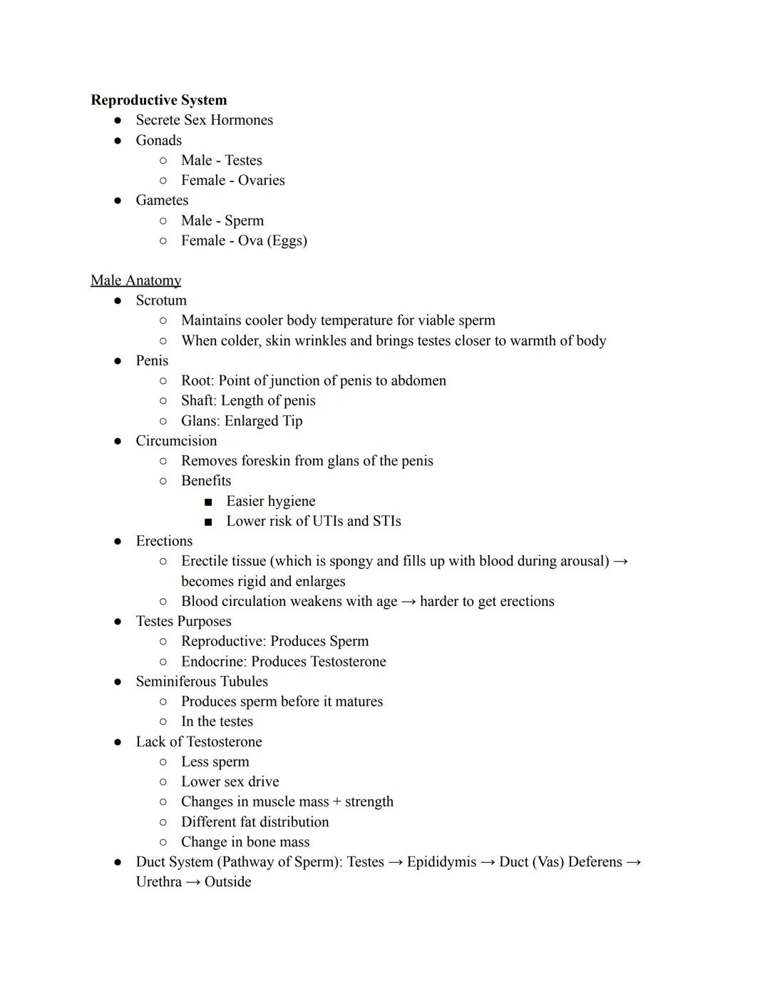 Reproductive System
●
●
●
●
●
Male Anatomy
Scrotum
O
●
Secrete Sex Hormones
Gonads
O
Male - Testes
O Female Ovaries
●
Gametes
●
o Male - Spe