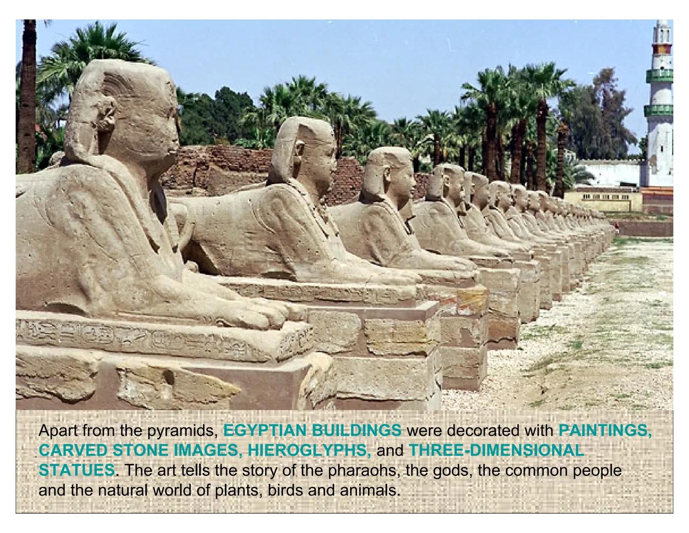 16
ARCHITECTURE 24502
ARCHITECTURE: The
ancient Egyptians built their
pyramids, tombs, temples
and palaces out of STONE,
the most durable of