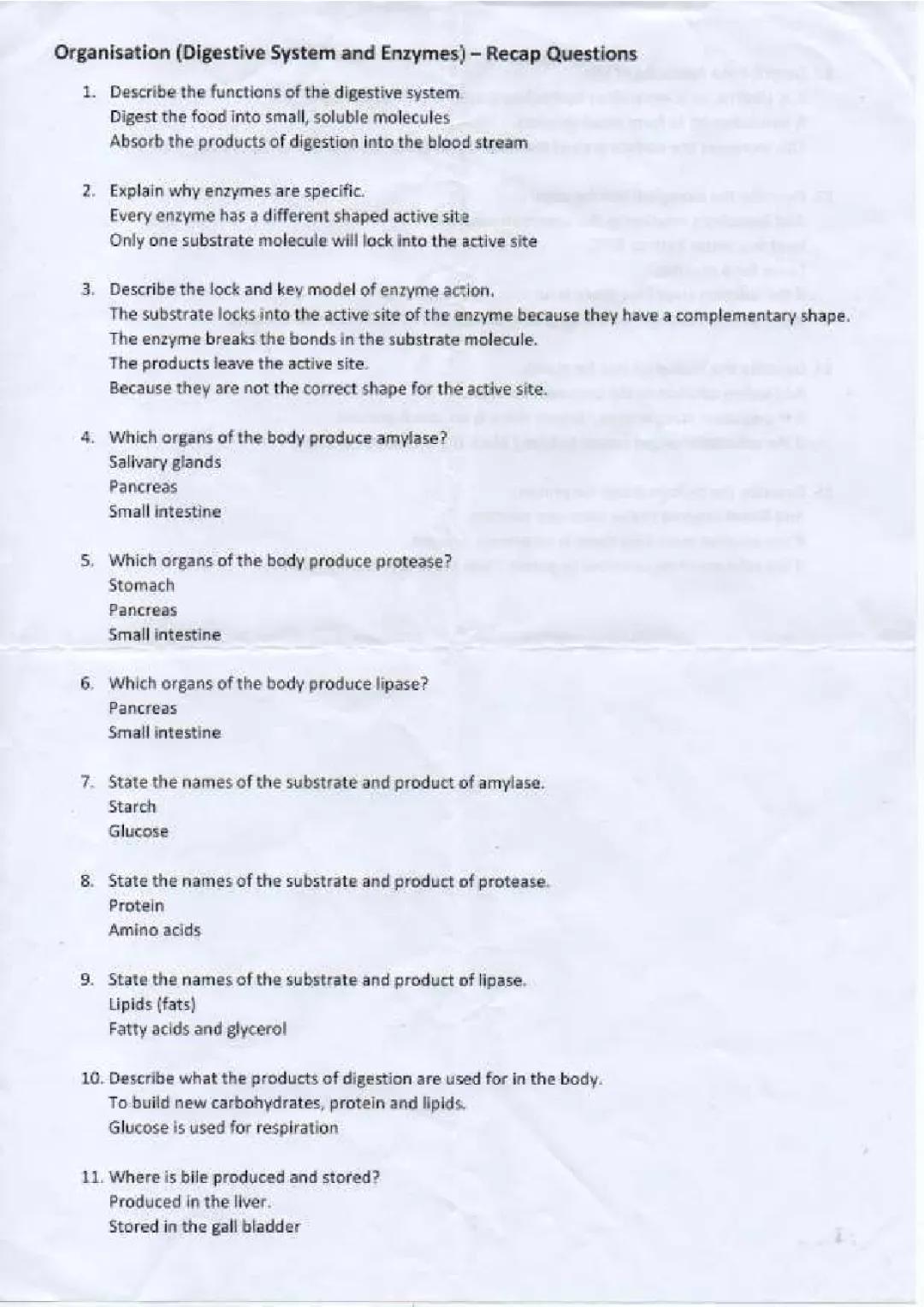 Biology: Organisation(Digestive System and Enzymes) - Recap Questions
