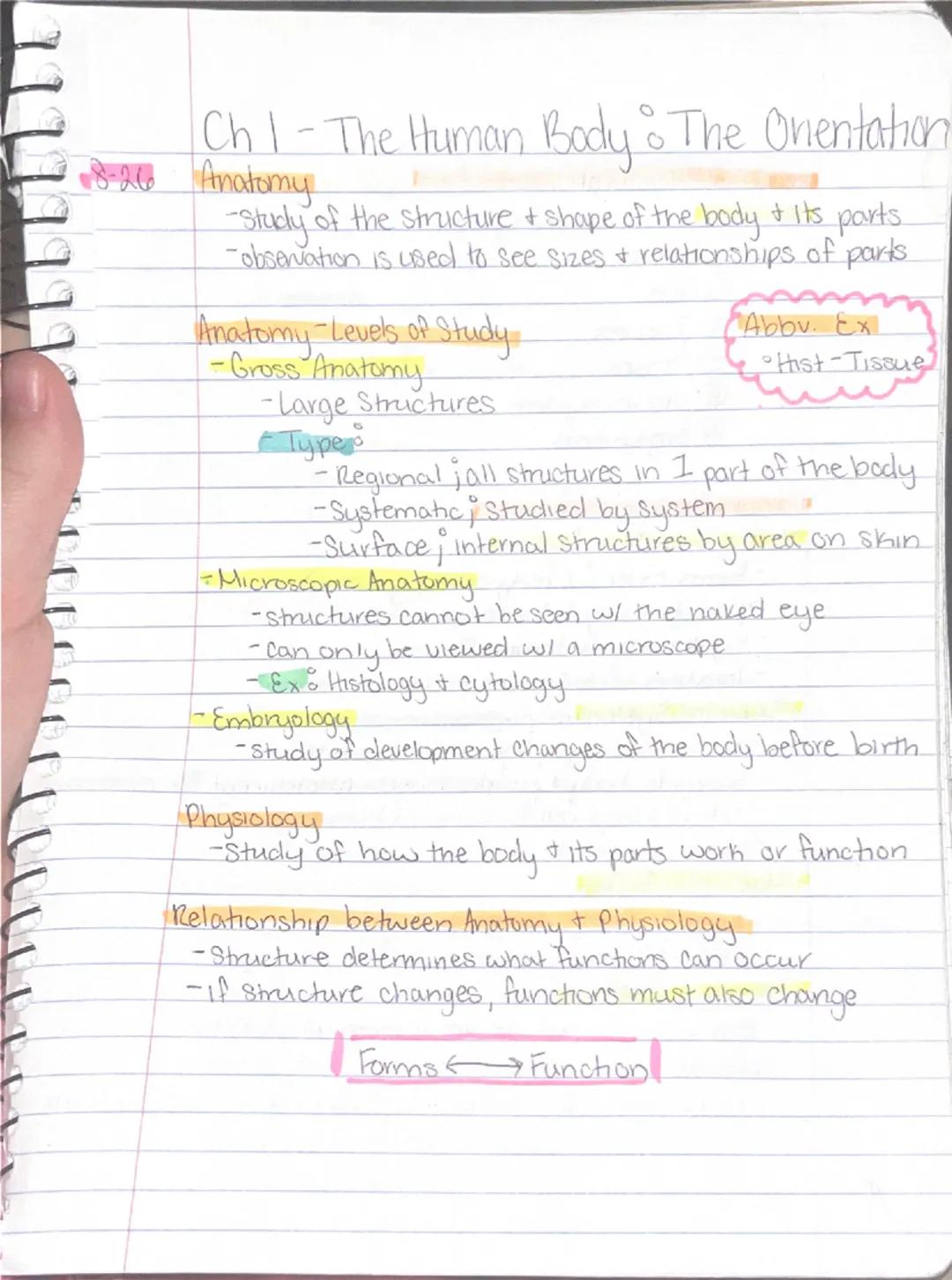 Ch 1 - The Human Body : The Orientation
8-26 Anatomy
-Study of the structure & shape of the body & Its parts.
-observation is used to see s