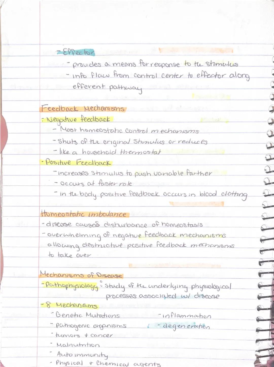 Ch 1 - The Human Body : The Orientation
8-26 Anatomy
-Study of the structure & shape of the body & Its parts.
-observation is used to see s
