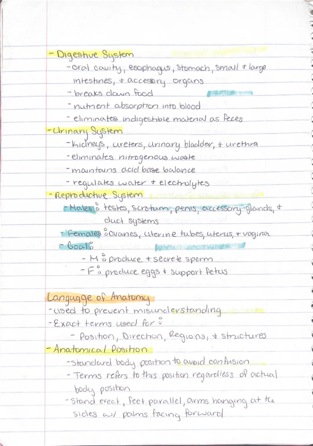 Ch 1 - The Human Body : The Orientation
8-26 Anatomy
-Study of the structure & shape of the body & Its parts.
-observation is used to see s