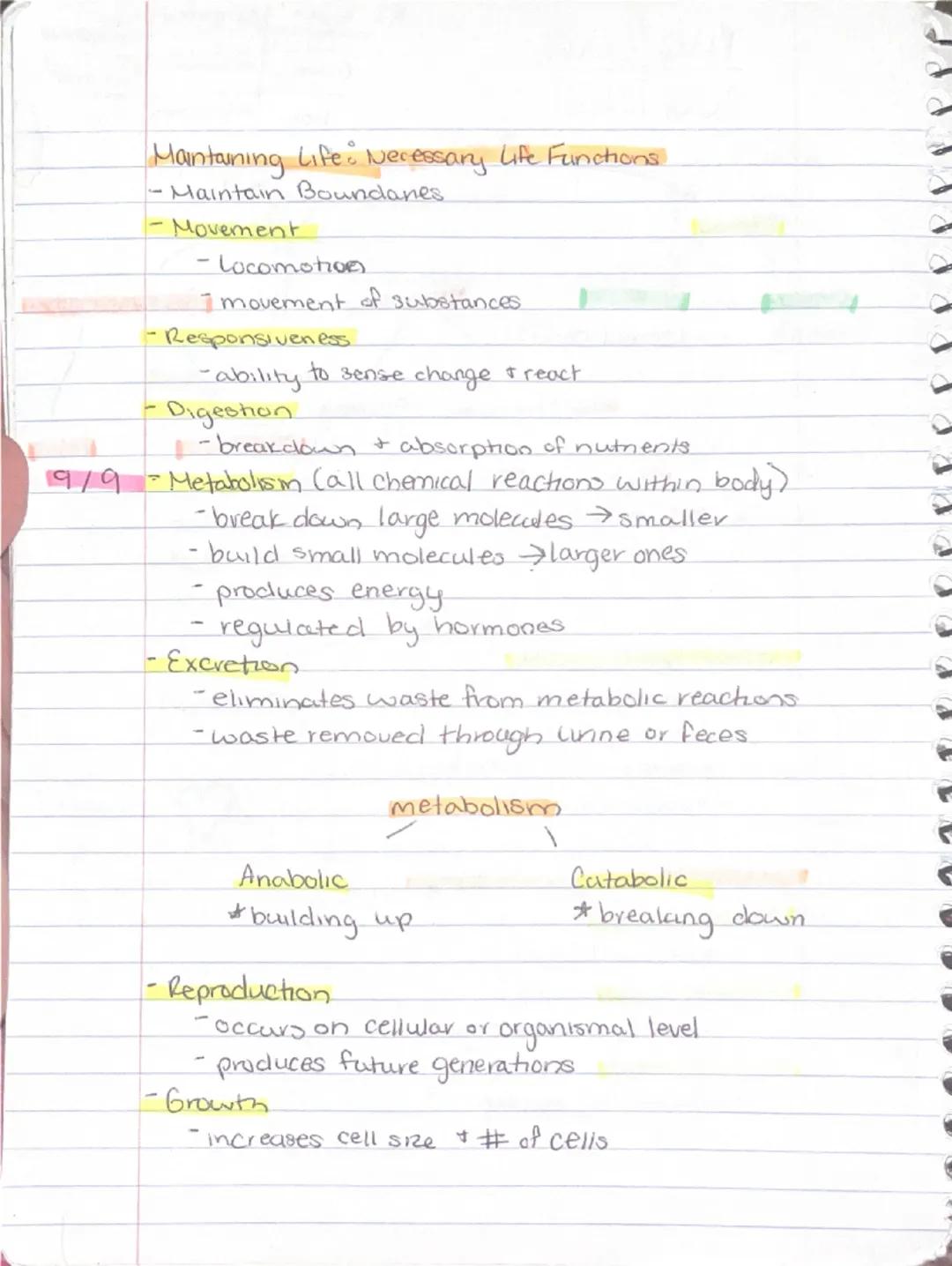 Ch 1 - The Human Body : The Orientation
8-26 Anatomy
-Study of the structure & shape of the body & Its parts.
-observation is used to see s