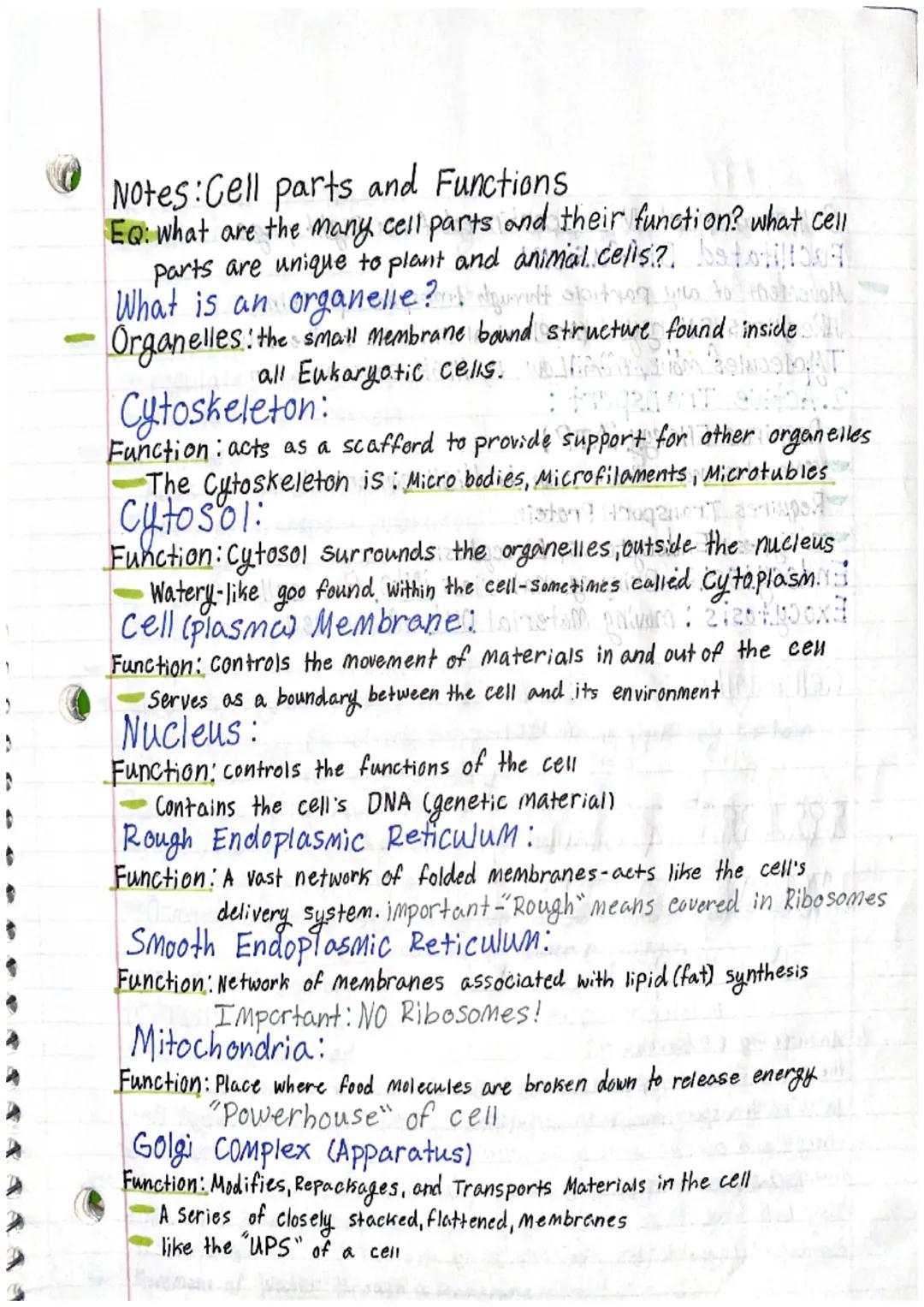 # Notes:Cell parts and Functions
EQ: what are the many cell parts and their function? what cell
parts are unique to plant and animal.celis?.