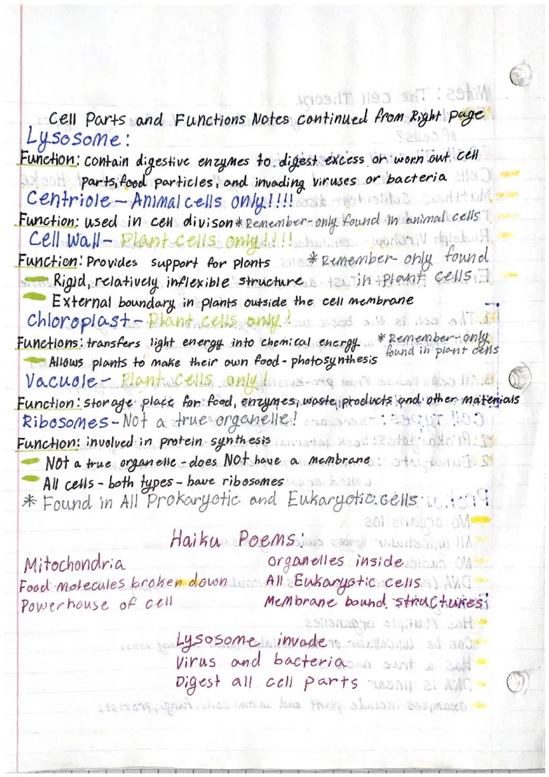 # Notes:Cell parts and Functions
EQ: what are the many cell parts and their function? what cell
parts are unique to plant and animal.celis?.