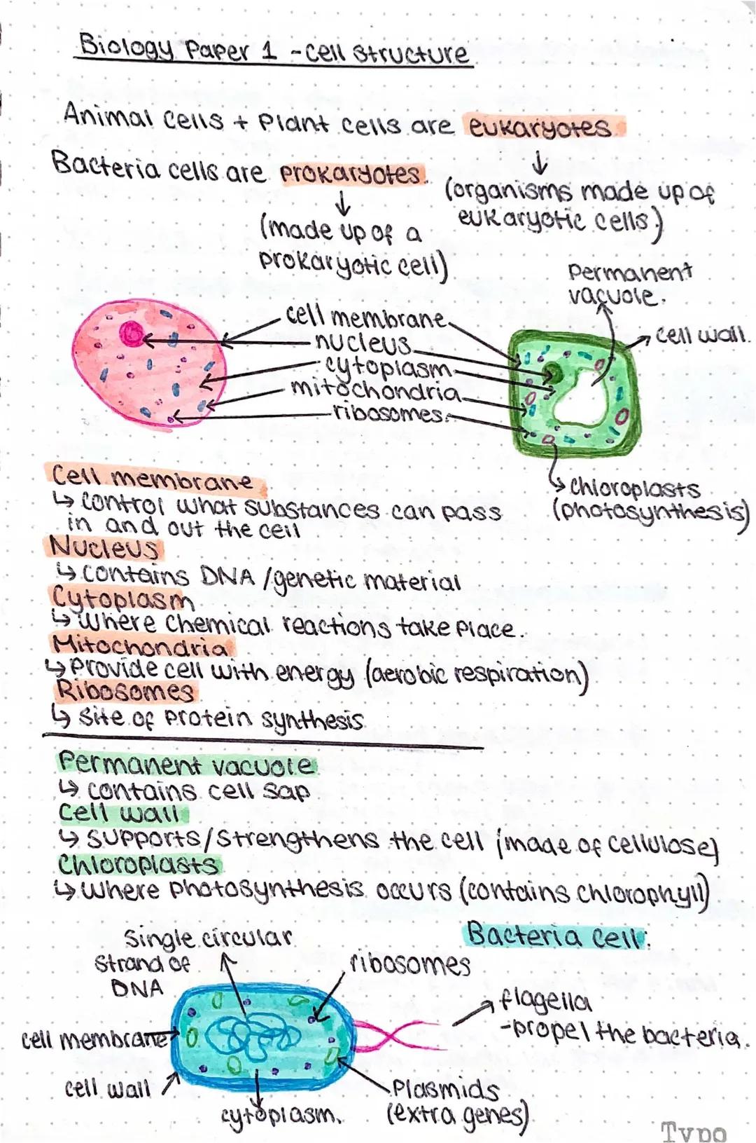Biology- cell structure