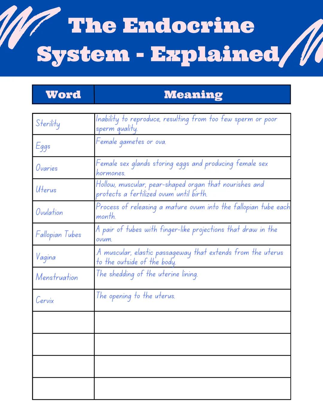 W
The Endocrine
System - Explained,
Word
Ductless or tubeless
Endocrine glands hormones directly into the bloodstream.
organs or
groups
Horm