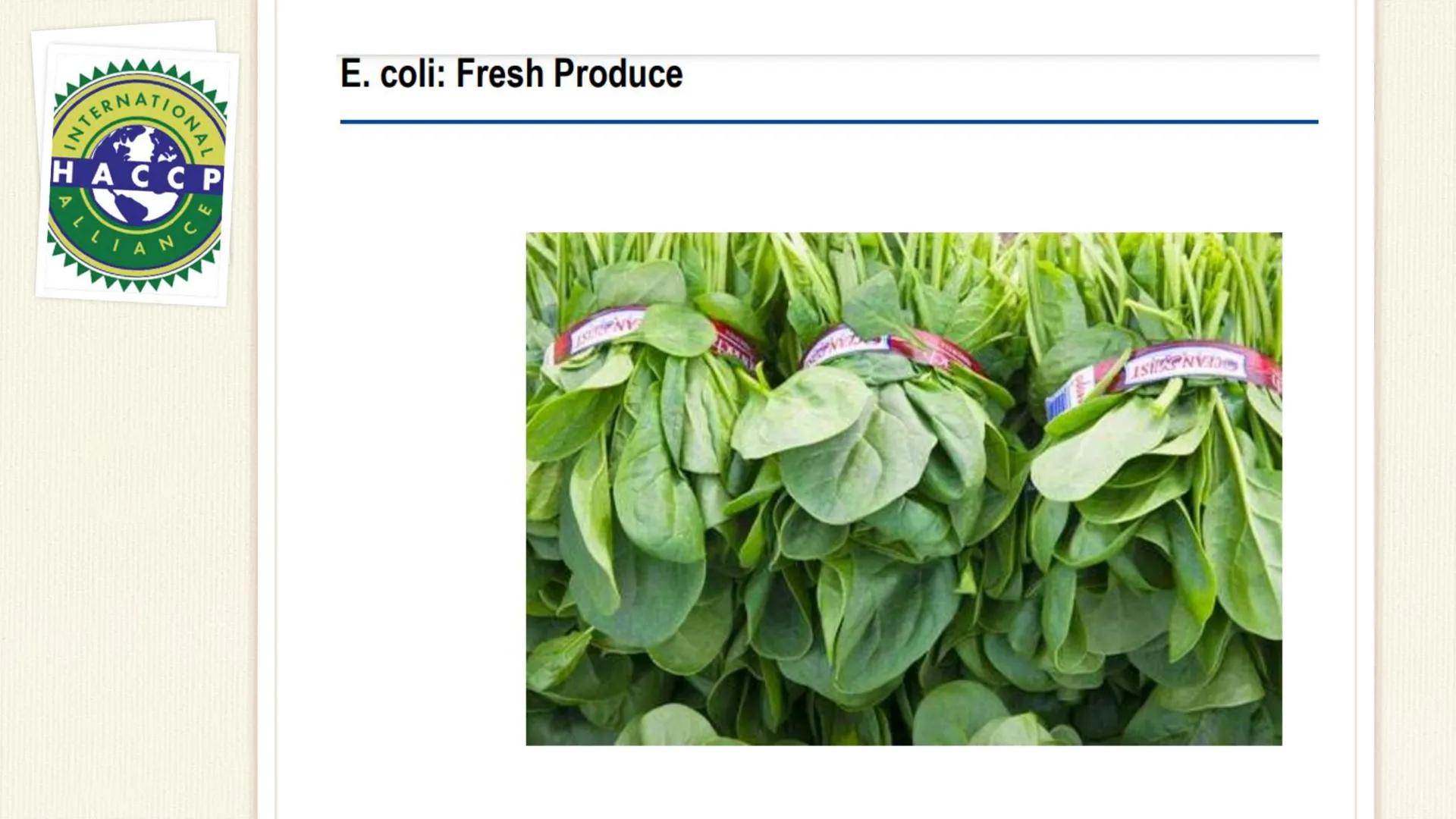 ATIONAL
HACCP
CE
Hazards
PHYSICAL....
RAW MATERIALS
/ INGREDIENTS
WATER
Lo
AIR / DUST
SOIL
FOOD
GARBAGE & SEWAGE
RODENTS
FOOD HANDLERS/ MAN